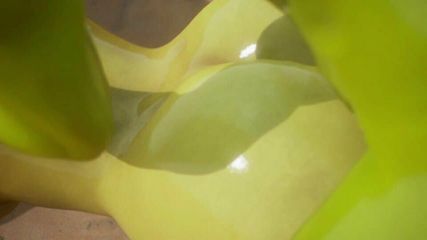 /beam/67a861a2cc498f247e7e39a9