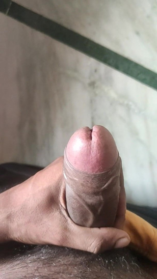 Indian cock show