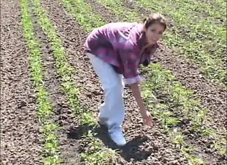 /beam/67a86210cc498f247e8374a2