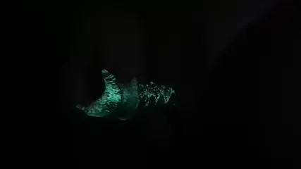 /beam/67a86196cc498f247e7d9a4e