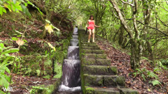 Madeira secrets