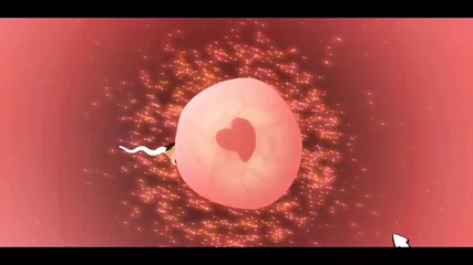 /beam/67a86353cc498f247e933b9c