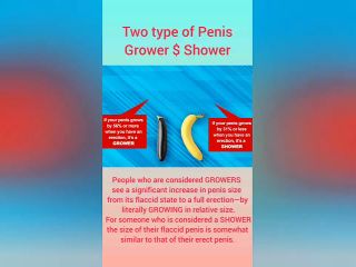 About the Male Penis Tyeps of Penis