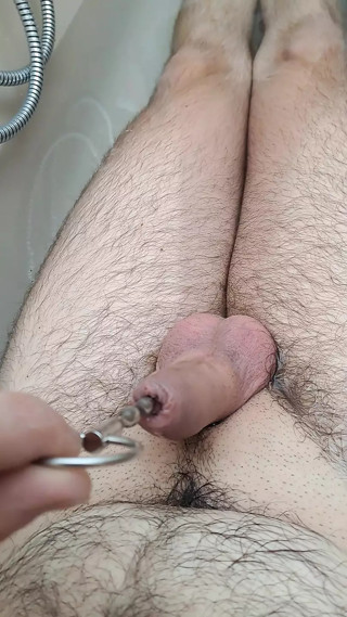 Try my new Christmas Toy , acting weird but he likes it