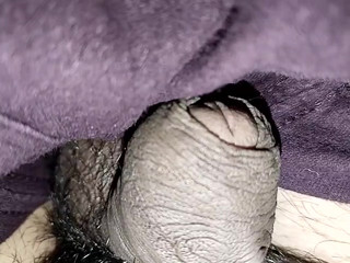 What a penis