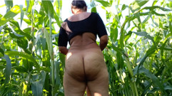 Aaj Badi bhabhi pure kapde kholkar Makka ke khet mein nangi hokar ke devar ke land ki sawari kar rahi hai land ke upar Jor jor se kud kar bh