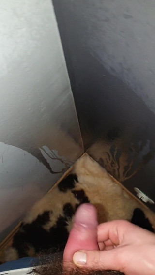 Morning piss in the corner of my room