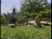 Slutty chick sucks a guy, then rides him