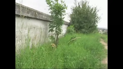 /beam/67a861d0cc498f247e806165