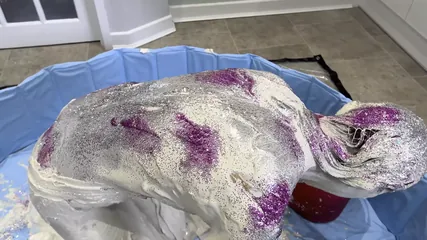 /beam/67a86266cc498f247e879e08