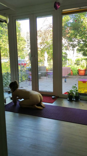 Yoga Princess in Front of Big Windows