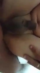 djiha