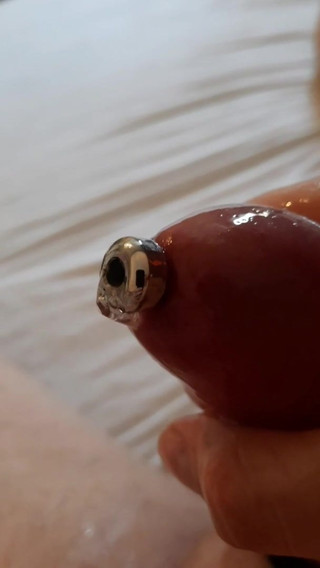 My new penisplug