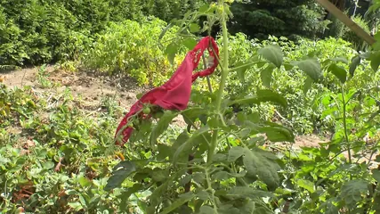 /beam/67a86203cc498f247e82d1ae