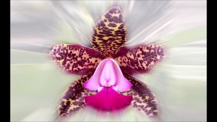 /beam/67a85fffcc498f247e657870