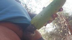 Desi boy suti 1