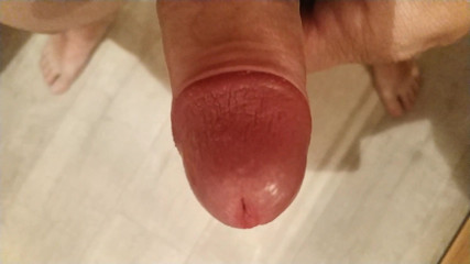 Cock