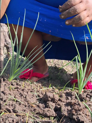 Hot stepmom went to the garden in a dress without panties and neighbor filmed