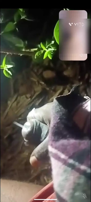 Tamil driver cum shot night time