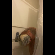 Shower Time Come 