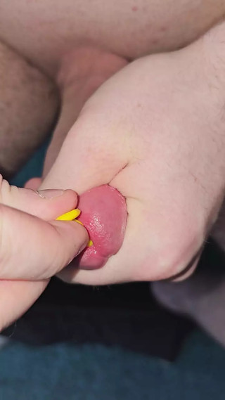 Insert penis plugs into the penis, different sizes and shapes