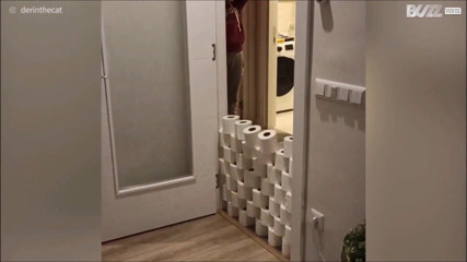Fun
