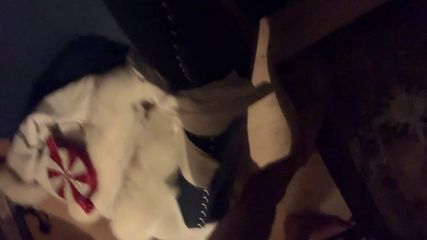 /beam/67a86143cc498f247e78e32c