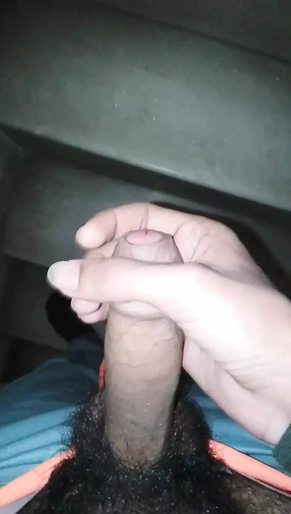 Desi Indian sexy dick musterbation penis land