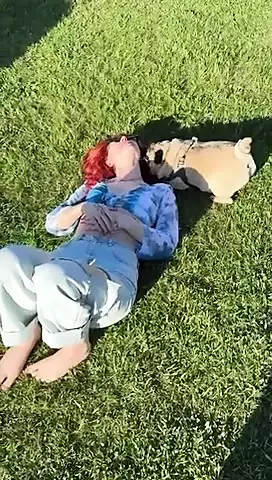 The_Dramma_Queen video