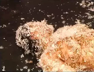 /beam/67a86378cc498f247e952834