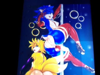 Sonic and Tails Cum Tribute