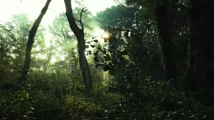 /beam/67a862d7cc498f247e8d1525