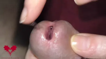 /beam/67a86360cc498f247e93e42d