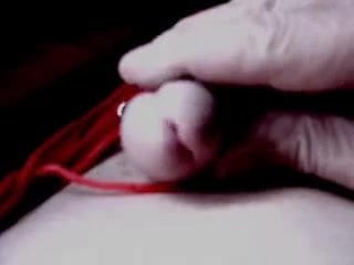 sushicook's sexy red panties