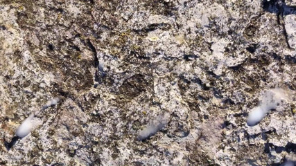 Piss on My Cum on Stone Outdoor