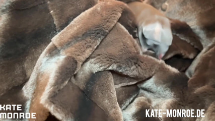 NYLON & PELZ ASMR von Kate Monroe