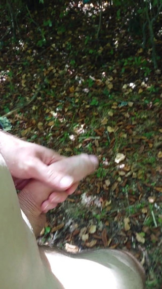 Full nude wanking in public forest