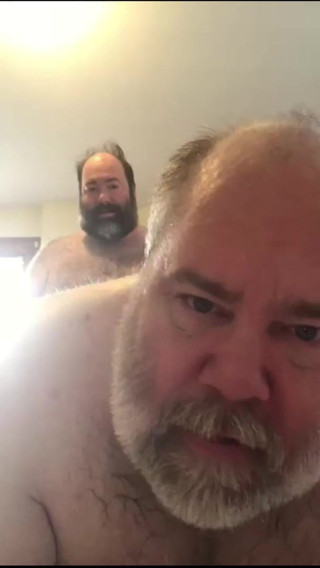 Two bears have a fun afternoon
