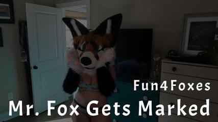 /beam/67a862c6cc498f247e8c3a44