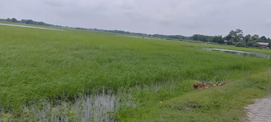 Today is very beautiful day.I'm going to outside in bike ri but weather is not good thumbnail