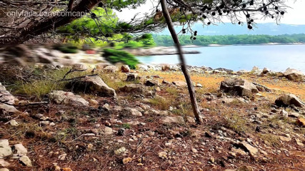 Sex In Croatia
