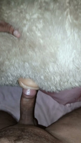 Fucking my teddy pusssy