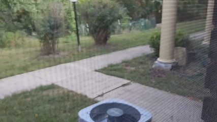 Almost Caught