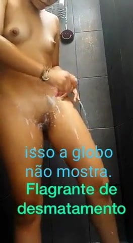 Desmatamento