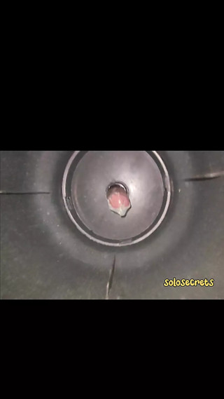 Desi boy fucked a innocent Hole in a chair 🪑that's the secrets of every solo
