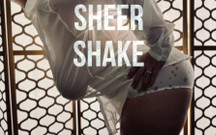 Sheer Shake