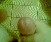 turkish bosalma