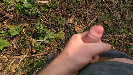 /beam/67a8616dcc498f247e7b6b1e