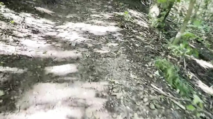 Risky Public Handjob - In the Woods