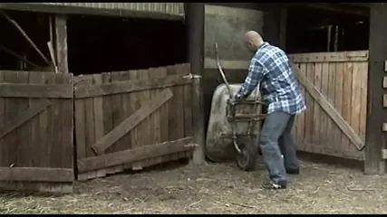 /beam/67a86254cc498f247e86bbbe